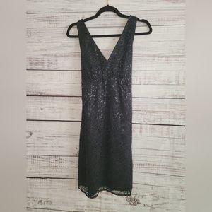 The Limited S6 V Neck Black Lace Dress